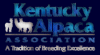 Member of KAA - Kentucky Alpaca Association